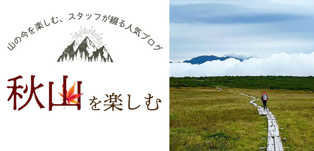 秋