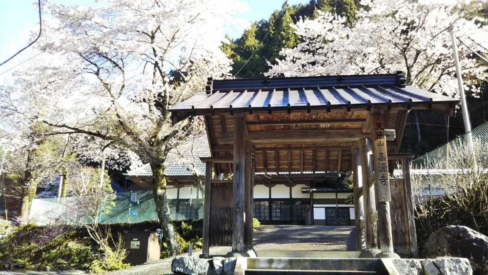 【立川店】桜と雪の奥多摩高水山