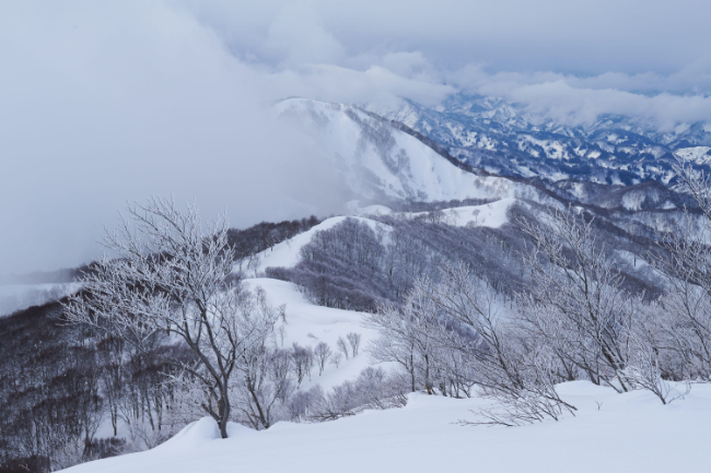 冬も春も楽しめる、山スキー名山、鍋倉山【…